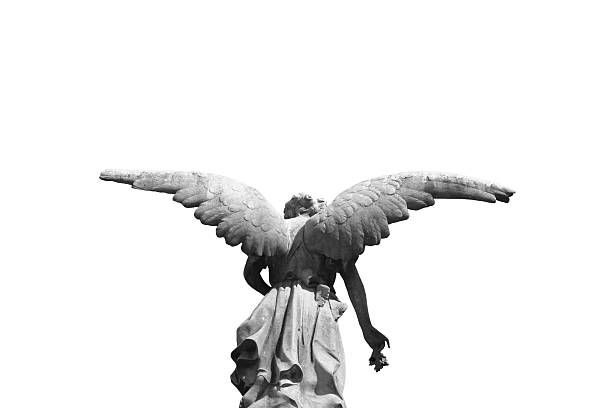 Statue of a winged angel photographed from behind Angel sculpture in public cemetery of ¨Recoleta¨,(Buenos Aires, Argentina), isolated over white background. statue stock pictures, royalty-free photos & images