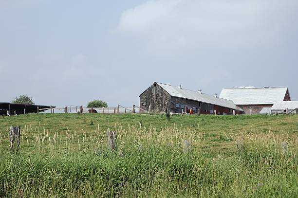farm stock photo