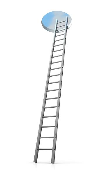 istock Ladder to the top 172767629