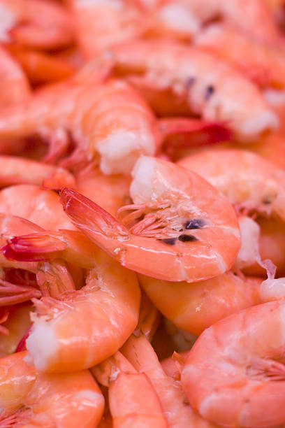 Shrimp with Tails stock photo