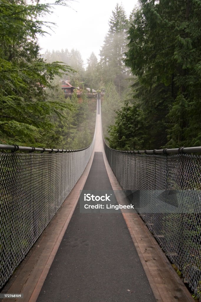 Capilano-Hängebrücke - Lizenzfrei Brücke Stock-Foto