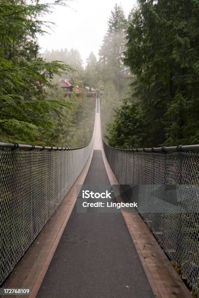 Capilanohängebrücke Stockfoto und mehr Bilder von Brücke - Brücke, Capilano-Brücke, North Vancouver