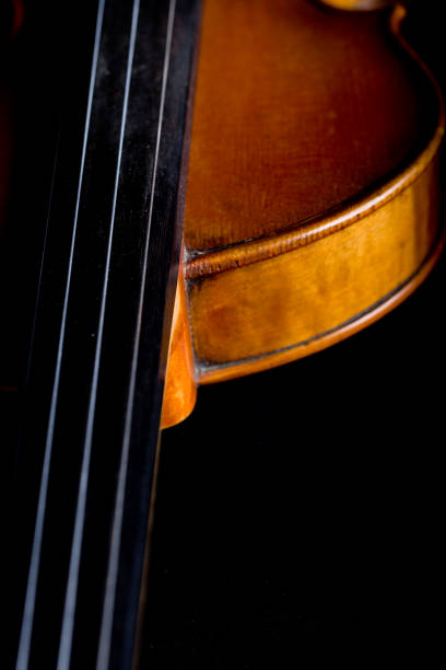 istock Fingerboard of a classical violin 172768328
