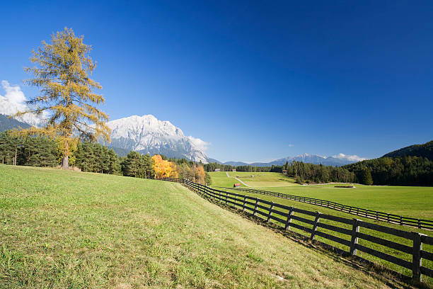 alpine pasture in autumn stock photo