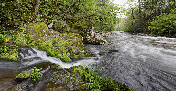 depois da chuva - eternity spirituality landscape rock imagens e fotografias de stock