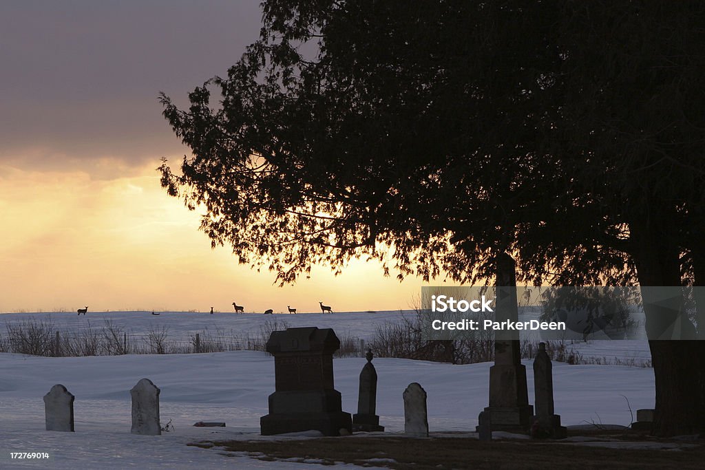 Ländlichen Iowa Cemetery und Baum bei Sonnenuntergang mit Hirsch - Lizenzfrei Abenddämmerung Stock-Foto