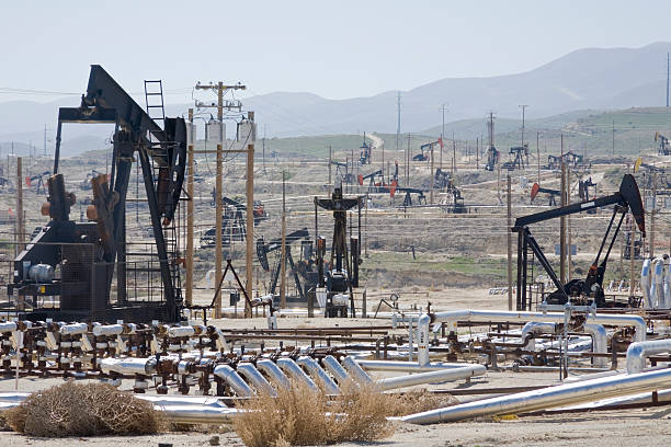 istock Oilfield in California with Multiple Wellhead Pumps 172769704