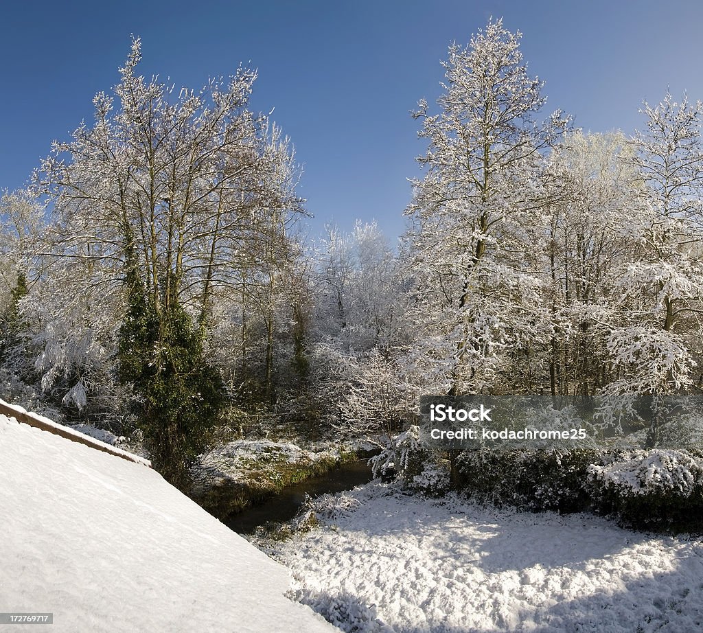 La neige - Photo de Angleterre libre de droits