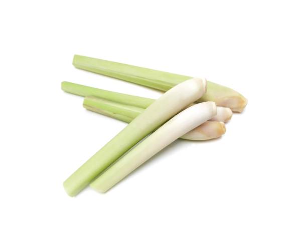 istock Fresh, organic lemongrass is an ingredient in curry paste. and Tom Yum  placed on a white background. 1727699974