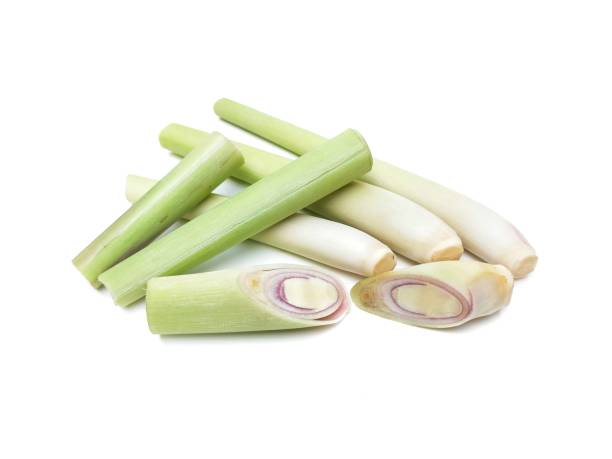 istock Fresh, organic lemongrass is an ingredient in curry paste. and Tom Yum  placed on a white background. 1727700491