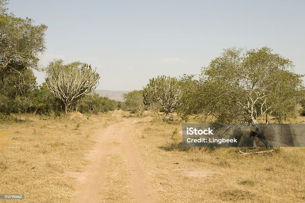 Paisaje de África - Foto de stock de Aire libre libre de derechos