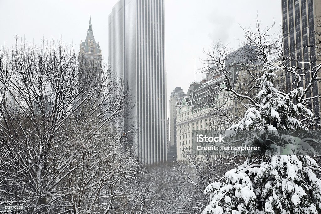 Inverno a New York - Foto stock royalty-free di Albero