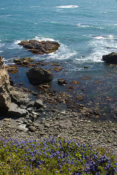 istock Pacific Ocean Northern California 3569 172770643