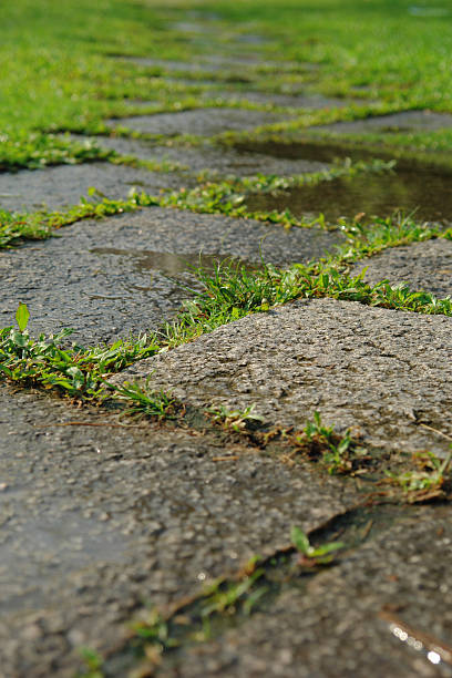 Wet Brick Path stock photo