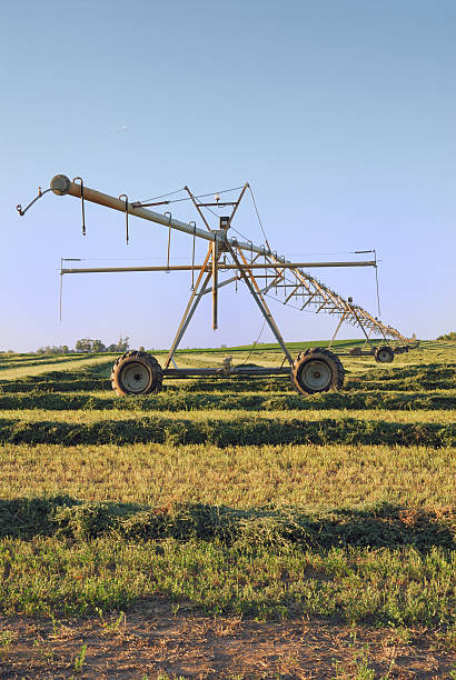 istock Country farming watering pipes 172771331