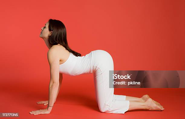 Mujer Haciendo Yoga Pose Perrovaca Foto de stock y más banco de imágenes de Actividades recreativas - Actividades recreativas, Actividades y técnicas de relajación, Adulto