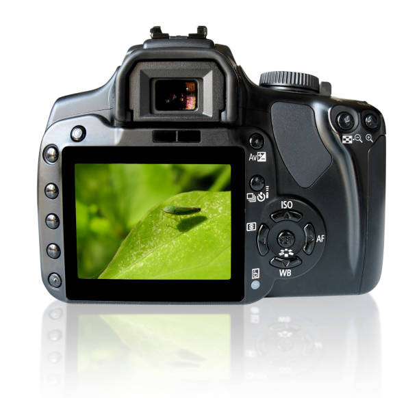 istock Back of SLR camera with clipping path 172771473