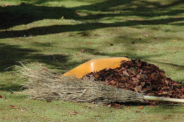 istock Broom ,leaves, and dustpan 172771962