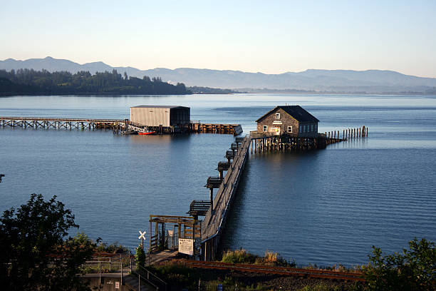 istock Garibaldi Pier on Oregon Coast 172772566