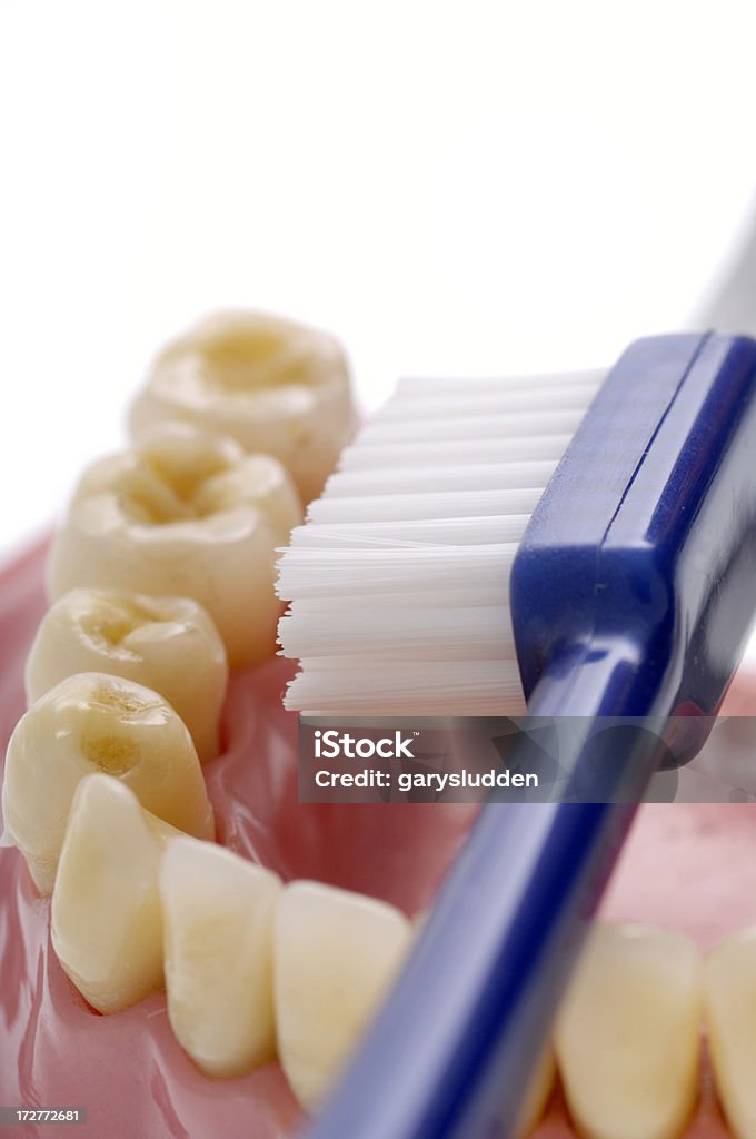 Mostrando come spazzola i denti - Foto stock royalty-free di Apparecchiatura odontoiatrica