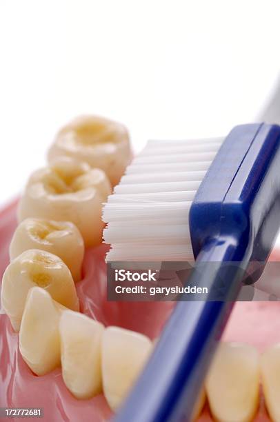Mostrando Come Spazzola I Denti - Fotografie stock e altre immagini di Apparecchiatura odontoiatrica - Apparecchiatura odontoiatrica, Bellezza, Blu