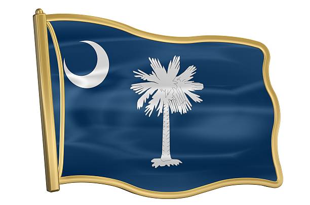 US State Flag Pin - South Carolina stock photo