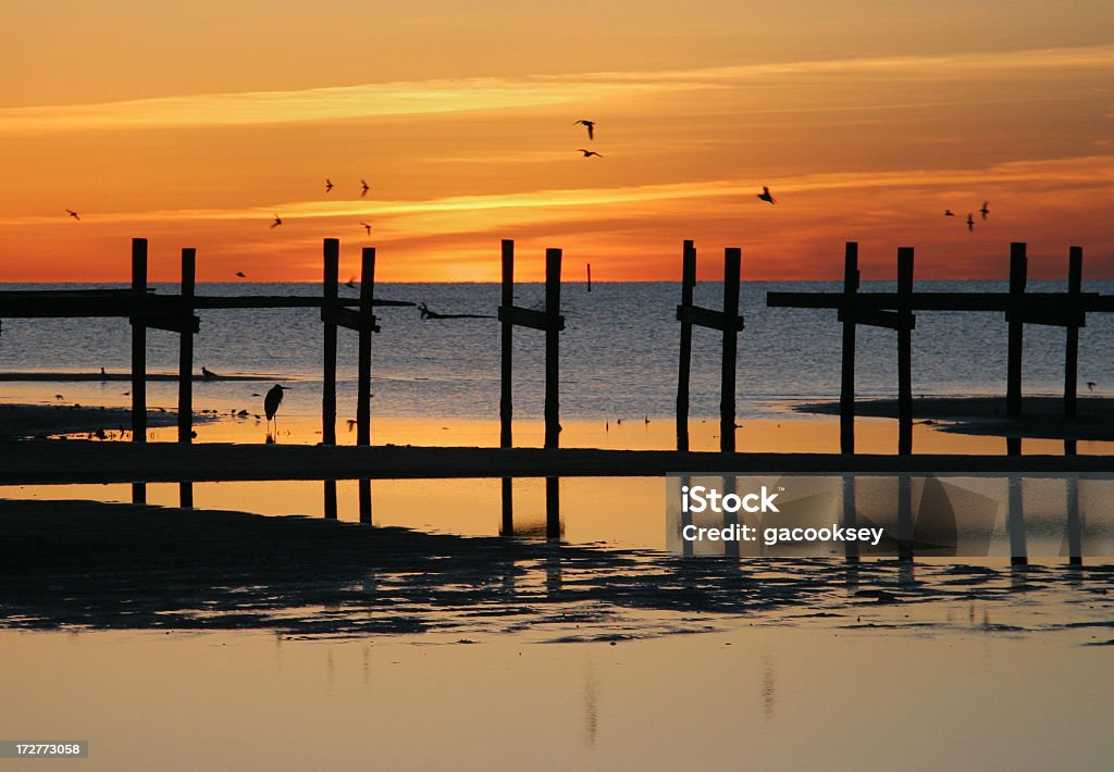 Oiseaux jetée au lever du soleil - Photo de Floride - Etats-Unis libre de droits