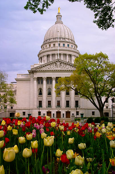 istock Wisconson State Capitol and Tulips 172773346