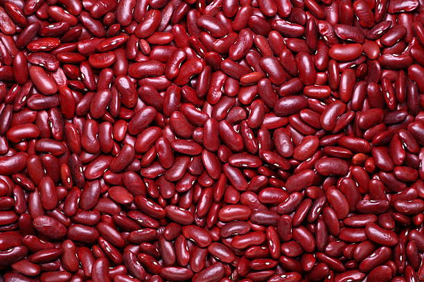 Kidney Beans Many kidney beans, flat across the focal plane. The kidney bean with its dark red skin is named for its visual resemblance to a kidney. kidney bean stock pictures, royalty-free photos & images