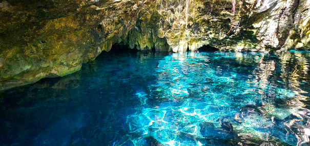 This is a color photograph of the clear turquoise  colored water in Grand Cenote located in Tulum, Mexico.