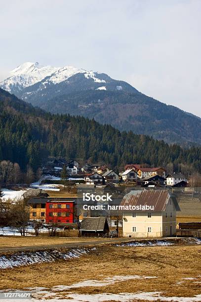 Valle - Fotografie stock e altre immagini di Albero - Albero, Alpi, Ambiente