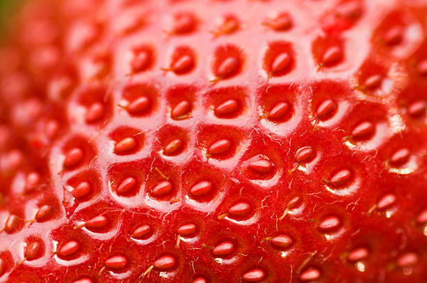 istock Close-up of a fresh strawberry surface 172774814