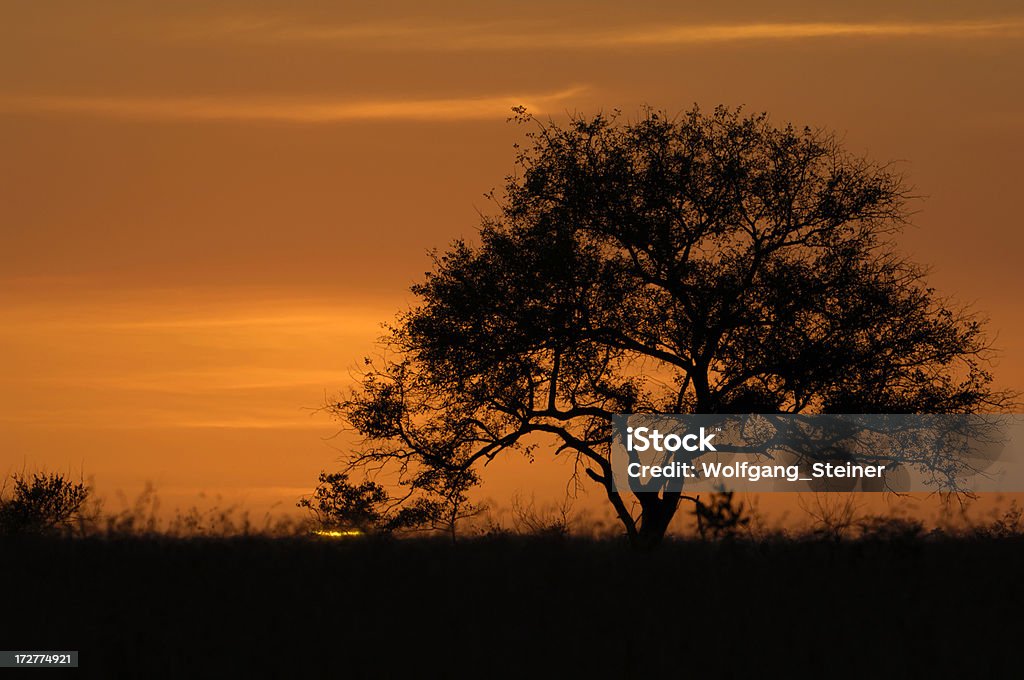 Segundos después de que el sol comienza a aumentar - Foto de stock de Amarillo - Color libre de derechos