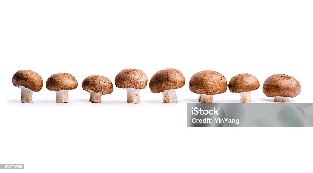 식용 포토벨로 버섯, 야채면 만들진 연립, 흰색 바탕에 그림자와 - 로열티 프리 식용 버섯 스톡 사진