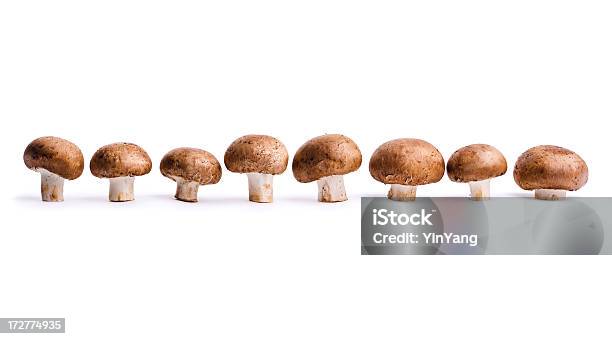 Edible Portabello Mushrooms Vegetables In A Row Isolated On White Stock Photo - Download Image Now