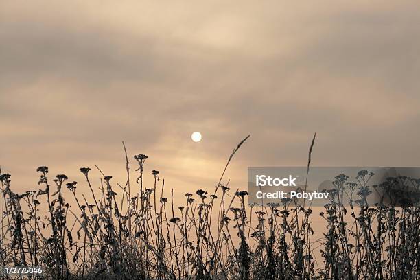 O Frio Sol - Fotografias de stock e mais imagens de Anoitecer - Anoitecer, Cristal, Inverno