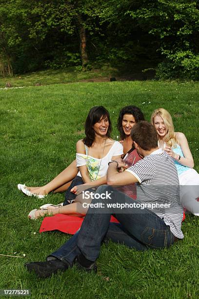 Picnic Divertimento - Fotografie stock e altre immagini di Adulto - Adulto, Adulto di mezza età, Alchol