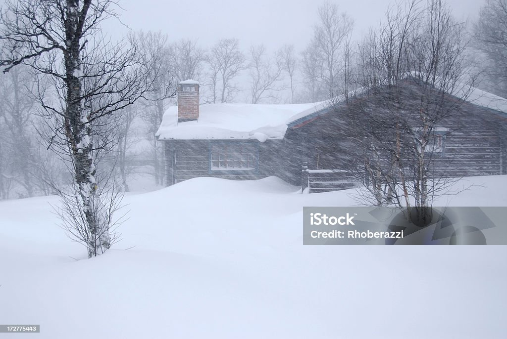 Cabin in the middle of a snowstorm "Snow storm, Sweden.Adobe RGB." Blizzard Stock Photo