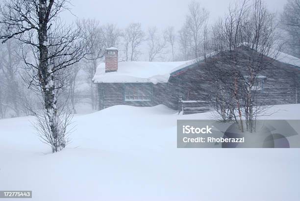 Cabin In The Middle Of A Snowstorm Stock Photo - Download Image Now - Blizzard, Cold Temperature, Frost