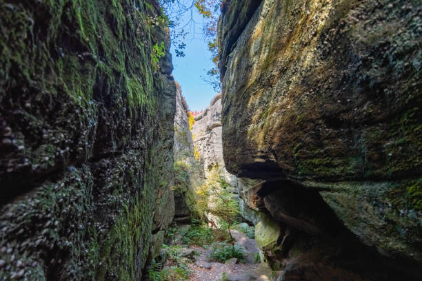 istock rock city park, olean , NY, fall season forest, gigantic rock formations 1727758163