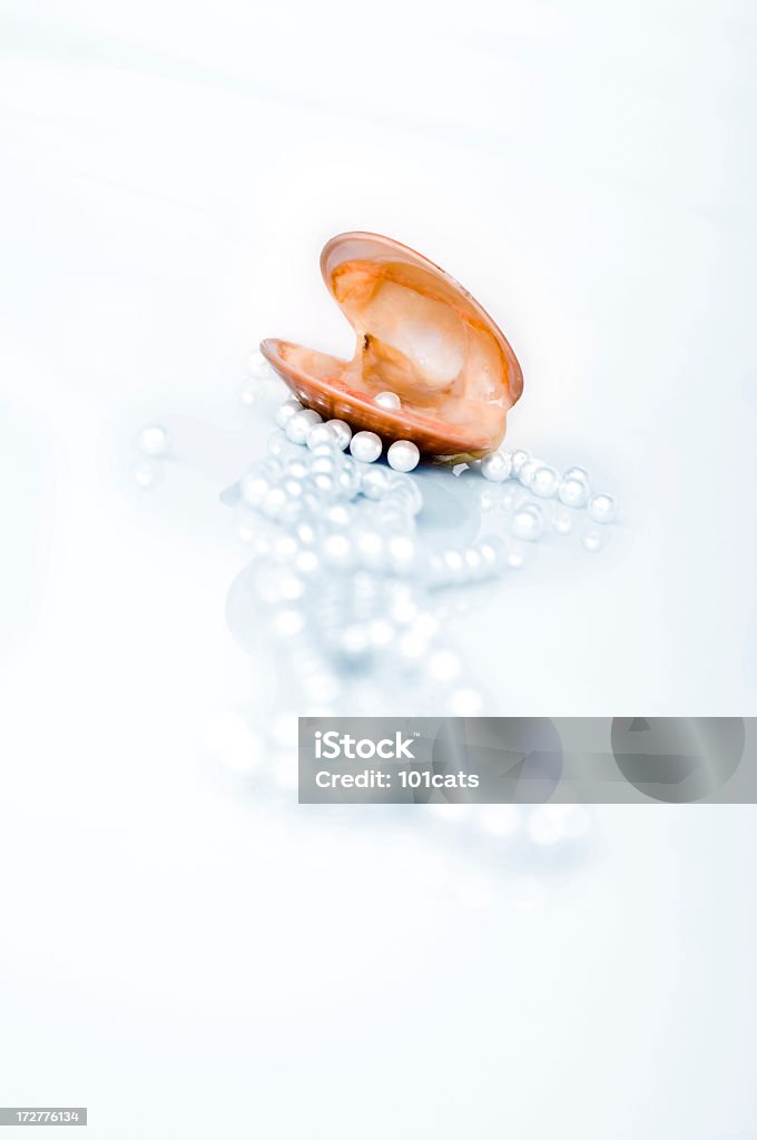 pearls and shell Adult Stock Photo