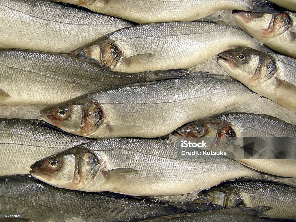 Pescado fresco - Foto de stock de Alimento libre de derechos