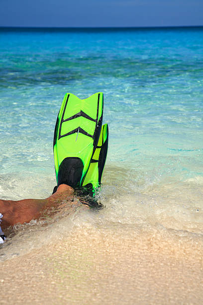 istock swim fins on the shoreline 172777286
