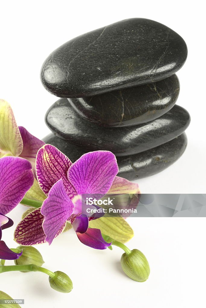 Orchid and Stones Orchid and lava stones on white Zen-like Stock Photo