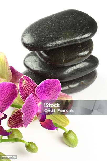 Orchid And Stones Stock Photo - Download Image Now - Zen-like, Alternative Medicine, Balance