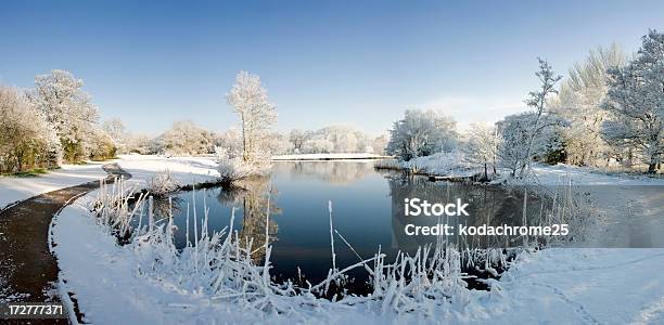 Снег — стоковые фотографии и другие картинки Вустершир - Вустершир, Снег, Англия