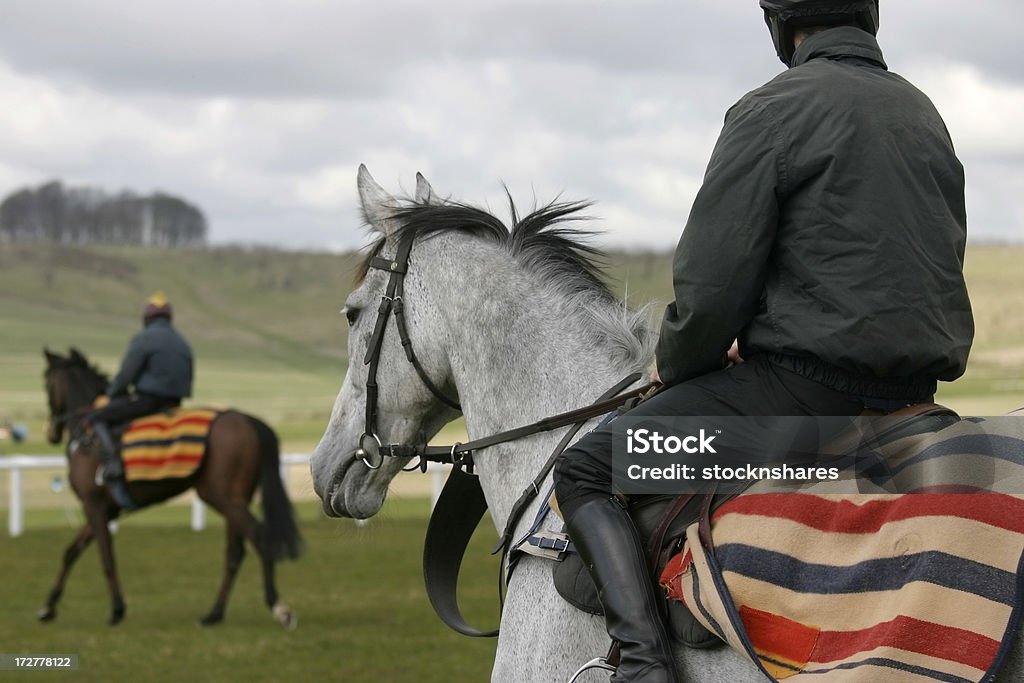 Schooling w Racehorses - Zbiór zdjęć royalty-free (Stajnia)