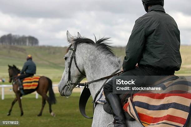 Schooling W Racehorses - zdjęcia stockowe i więcej obrazów Stajnia - Stajnia, Koń wyścigowy, Wyścig sportowy