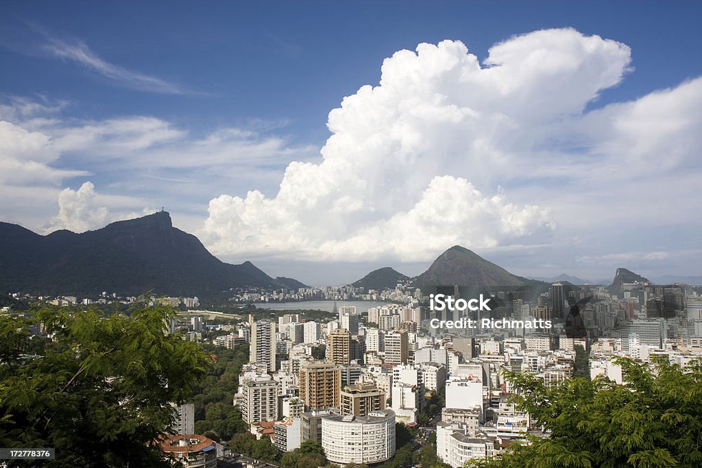 Рио-де-Жанейро - Стоковые фото Ботанический сад роялти-фри