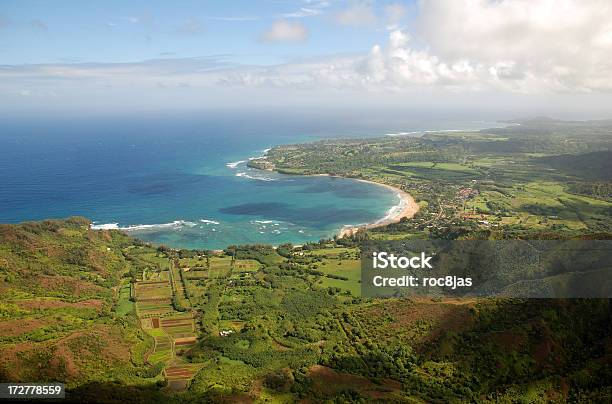 Baía De Hanalei - Fotografias de stock e mais imagens de Hanalei - Hanalei, Vale de Hanalei, Abundância